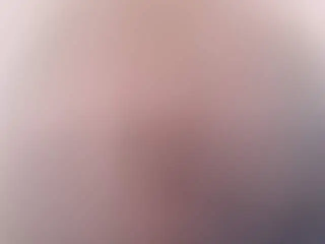 wellmanneredEmilie image 3